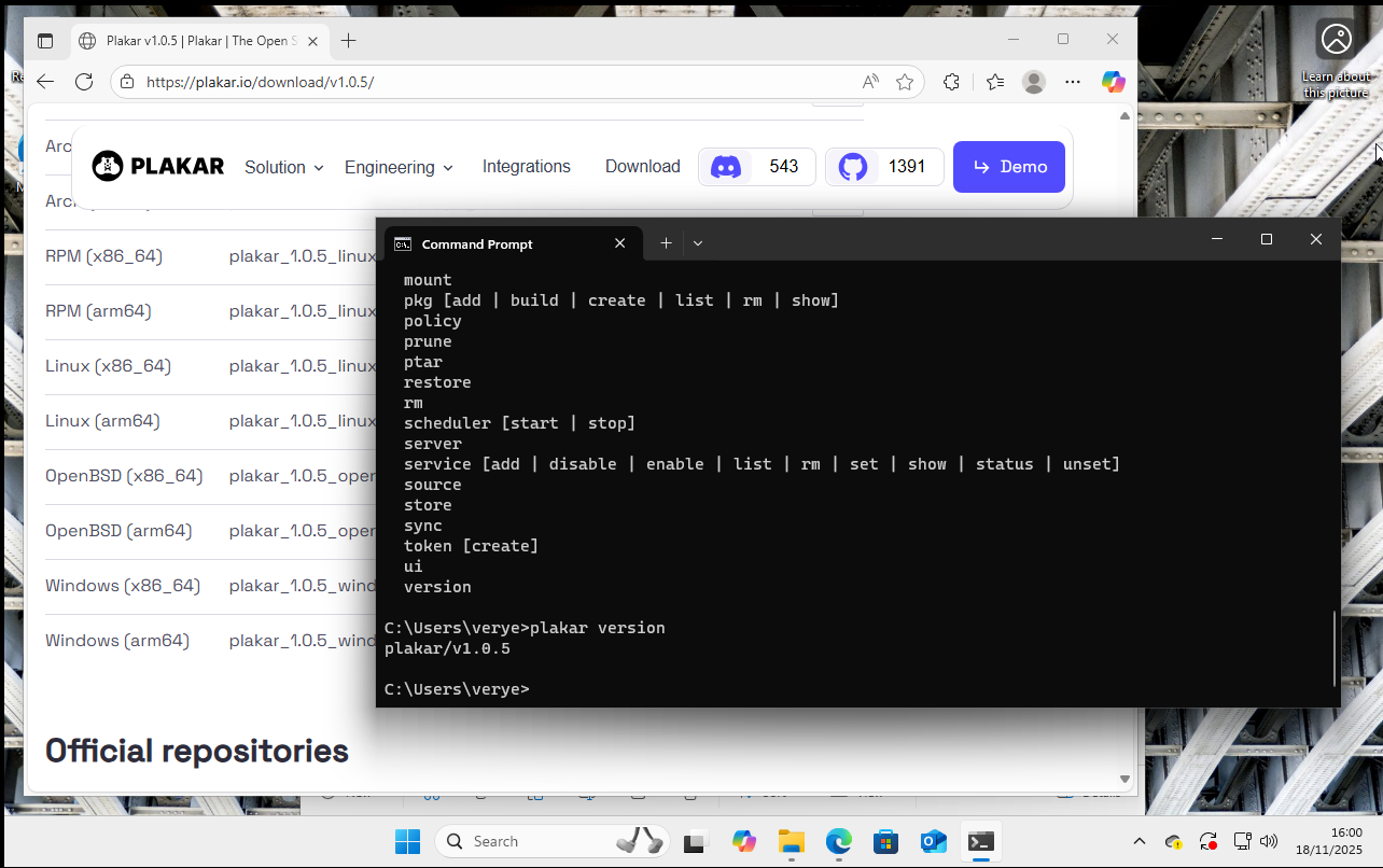Windows running plakar