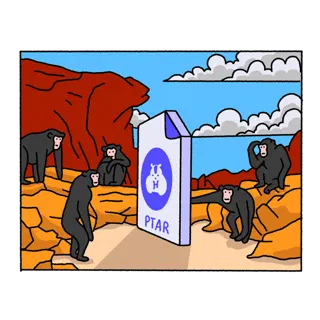Apes, a Nestor sticker